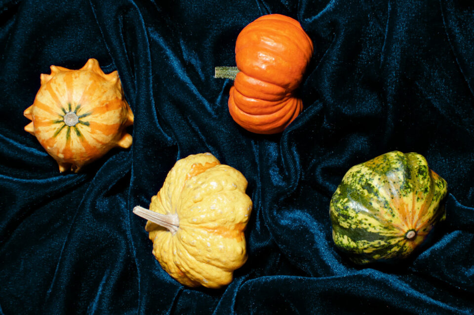 Hedon blog post_korvits vs parfuum