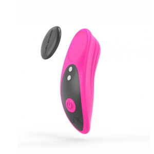 Lovense Ferri magnet